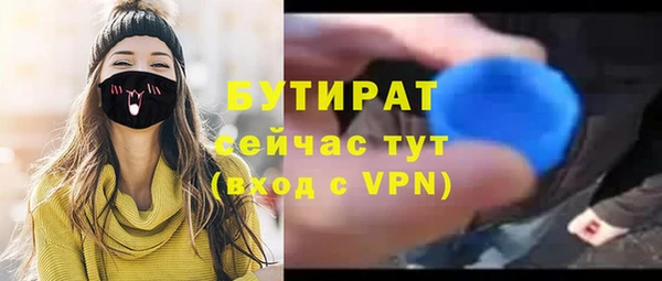 гашик Пестово