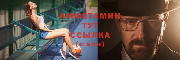 гашик Пестово