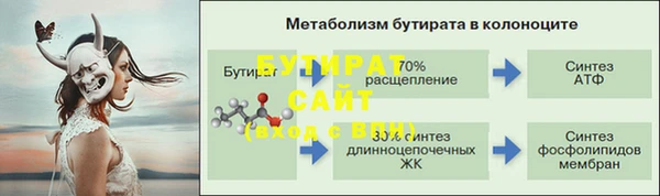 гашик Пестово