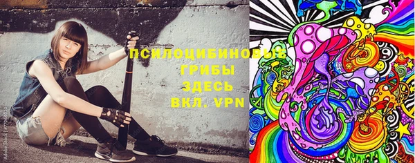 гашик Пестово