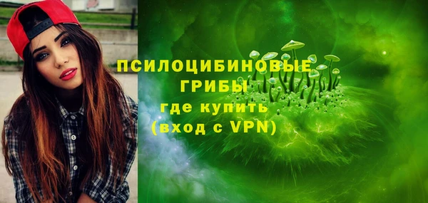 круглые Пересвет
