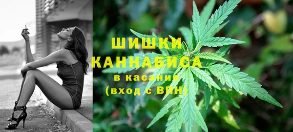 круглые Пересвет