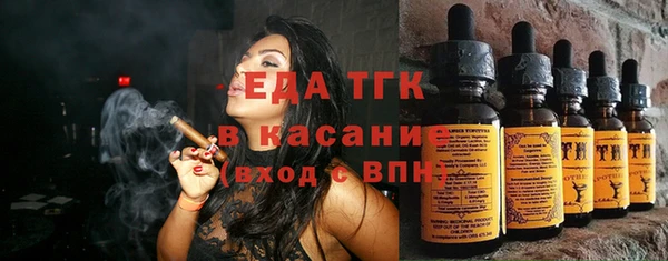 гашик Пестово