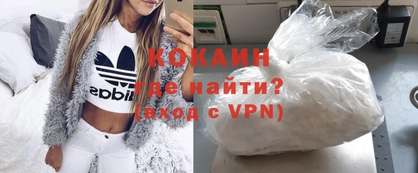 гашик Пестово