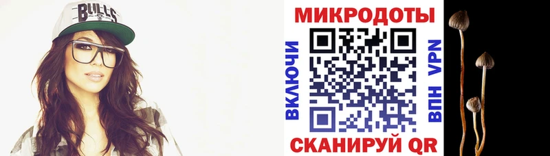 Псилоцибиновые грибы MAGIC MUSHROOMS  Купить закладки  Лукоянов 